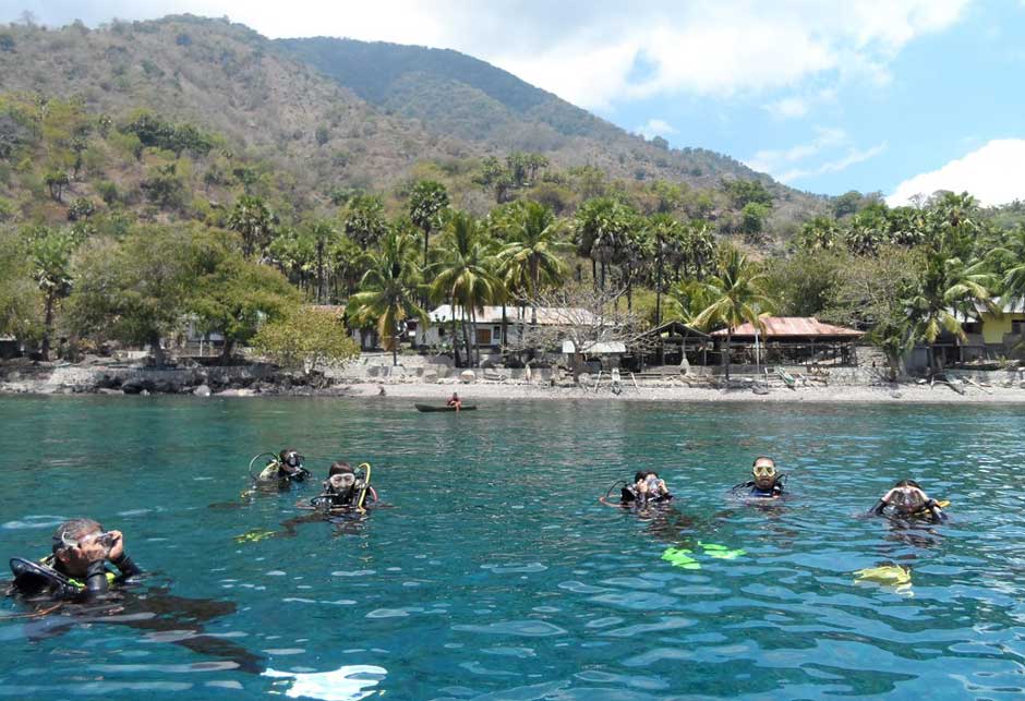 Moko Raksasa Ditemukan di Pulau Alor NTT Melalui Petunjuk Mimpi